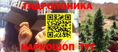 скорость Можга