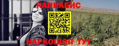 прущие грибы Моздок