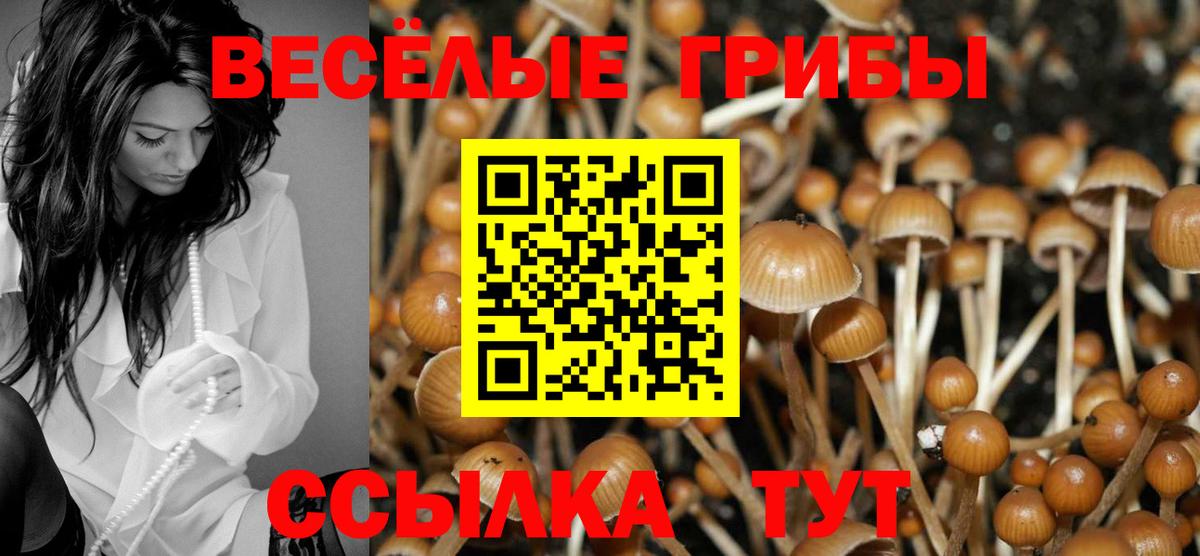 сколько стоит  Вход с VPN  Галлюциногенные грибы Psilocybe  Алушта  Галлюциногенные грибы Psilocybe 